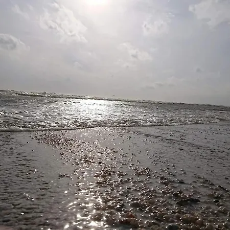 18 Person In * Ålbæk